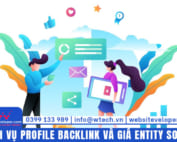 Tin tức 11 Giá Entity Social